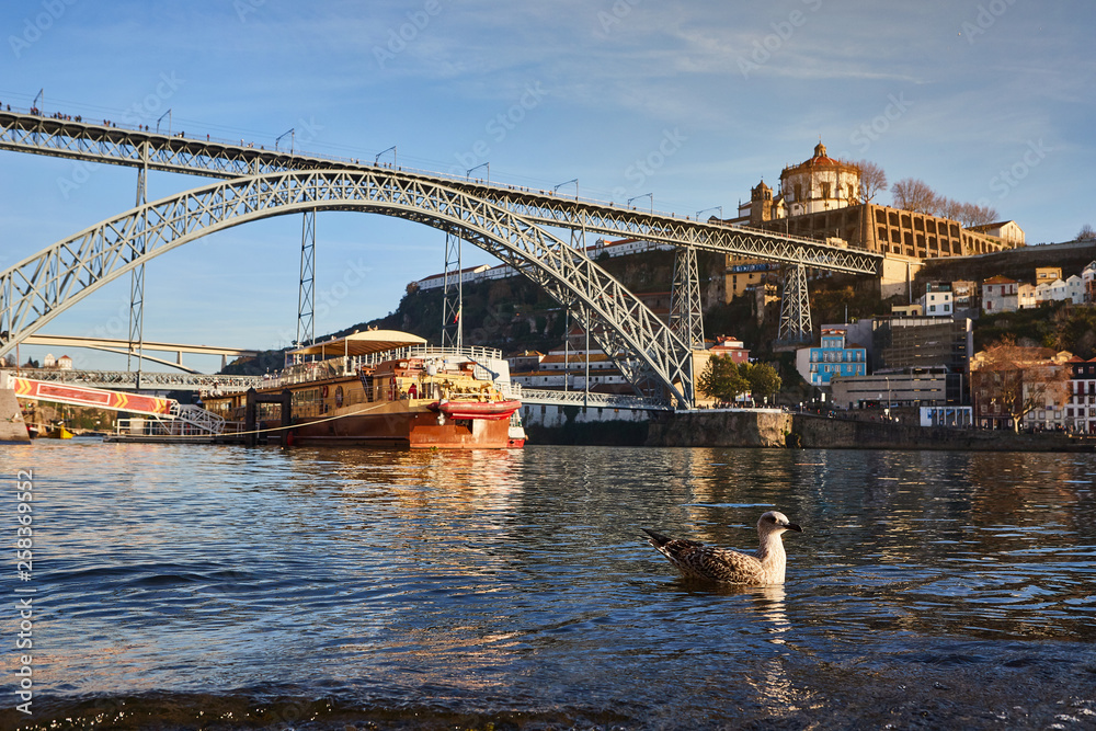 Naklejka premium Seagull sits on the embankment of the river Douro in old Porto with background of Dom Luis bridge, Portugal