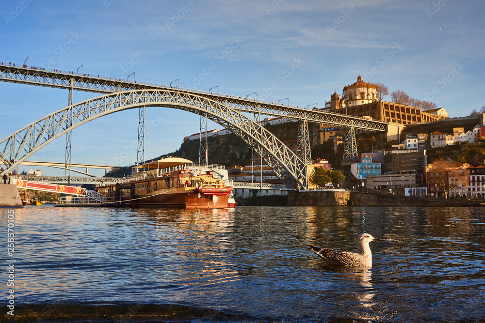 Seagull sits on the embankment of the river Douro in old Porto with background of Dom Luis bridge, Portugal