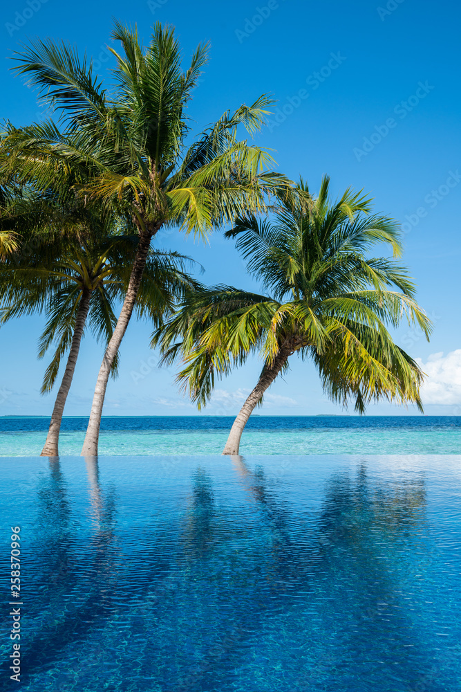 Swimming pool near sea view and coconut tree on clear sky day.