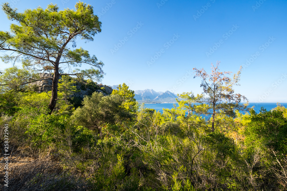 The coast of Mediterranean sea The coast of Mediterranean sea
