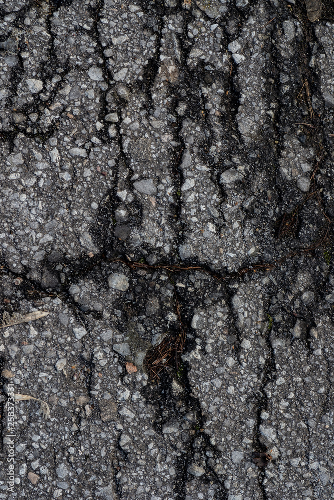 Macro asphalt texture. Macro asphalt texture.