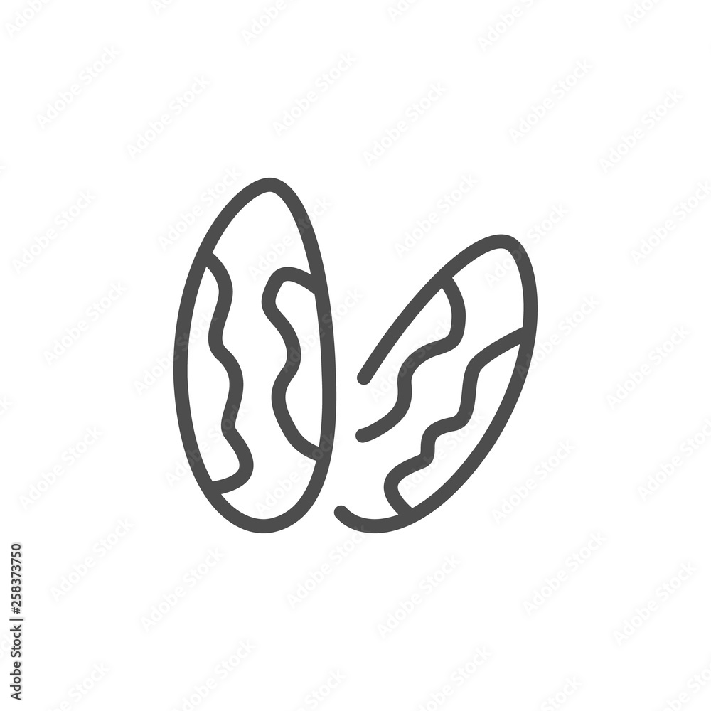 Brazil nuts line icon Brazil nuts line icon