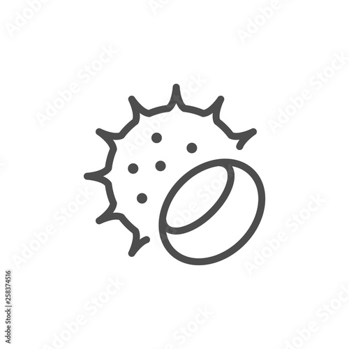 Chestnut line icon