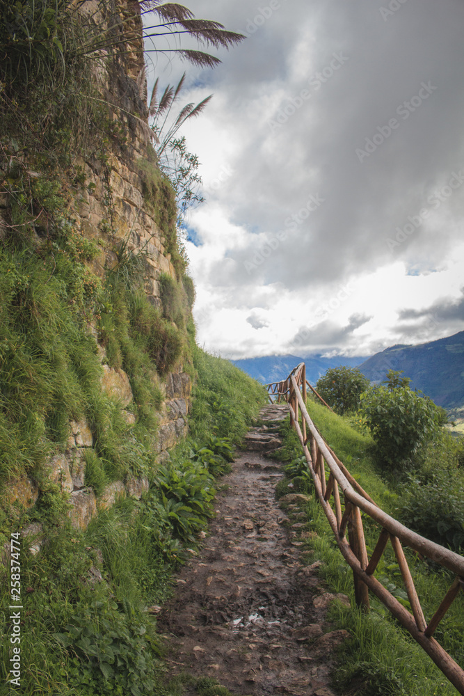 Fototapeta premium road in the mountains