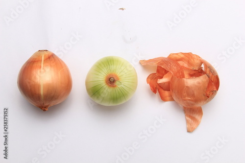 onion isolated from a white background