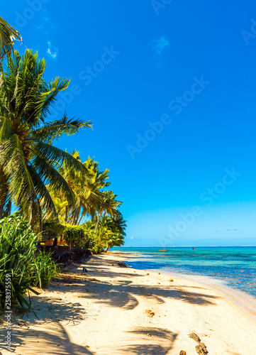 Fototapeta Naklejka Na Ścianę i Meble -  View of the sandy beach in the lagoon Huahine, French Polynesia. Vertical. Copy space for text.