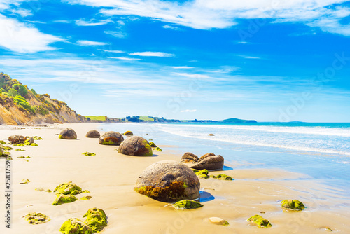 Moeraki boulders on Koyokokha beach in the Otago region, New Zealand. Copy space for text. photo