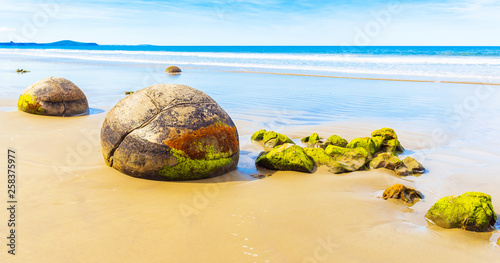 Moeraki boulders on Koyokokha beach in the Otago region, New Zealand. Copy space for text.