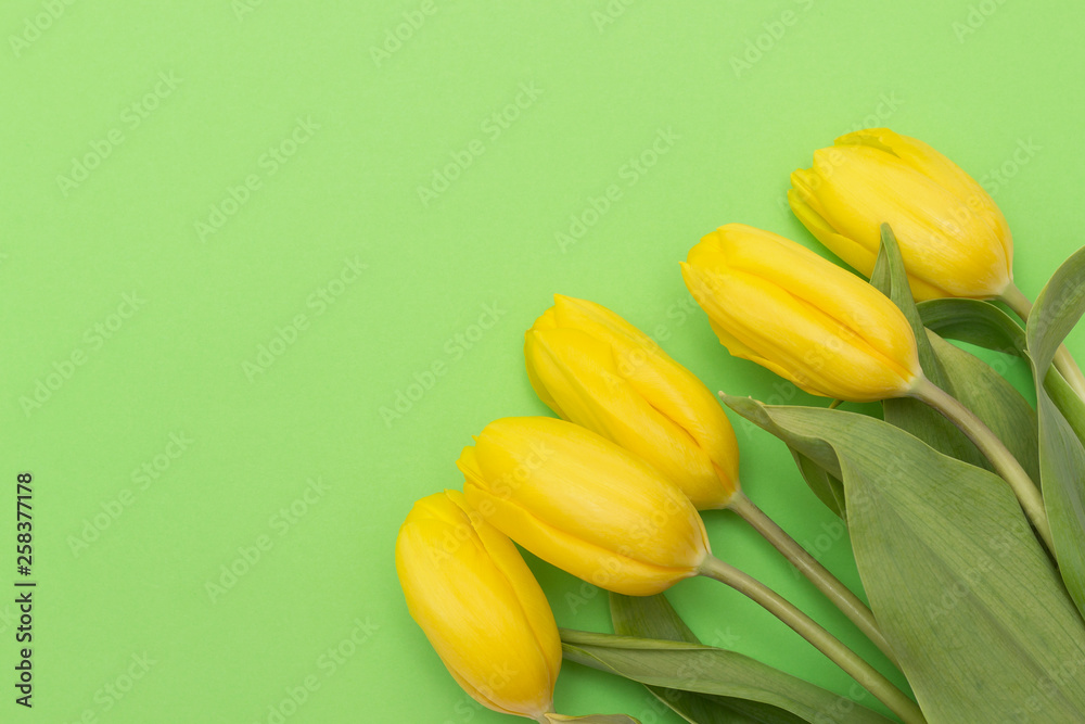 Obraz premium Żółte tulipany na zielonym tle.