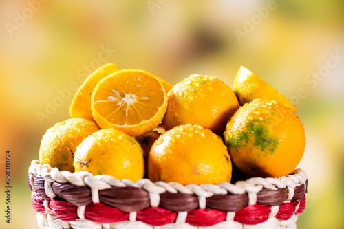 Rangpur lime, or limao cravo in Portuguese, covered with ripe fruits. Brazil