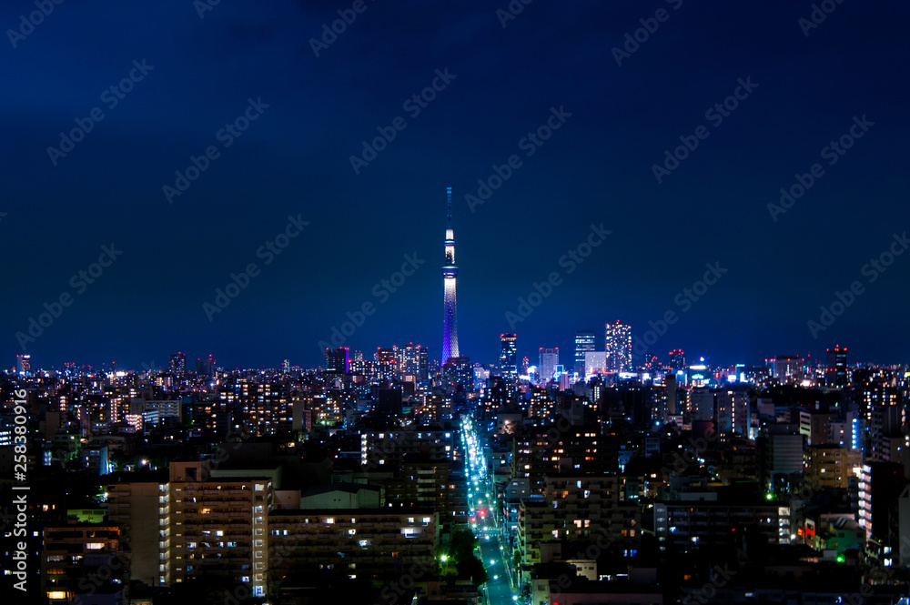 aerial photography of Tokyo night view. Tokyo, Japan 