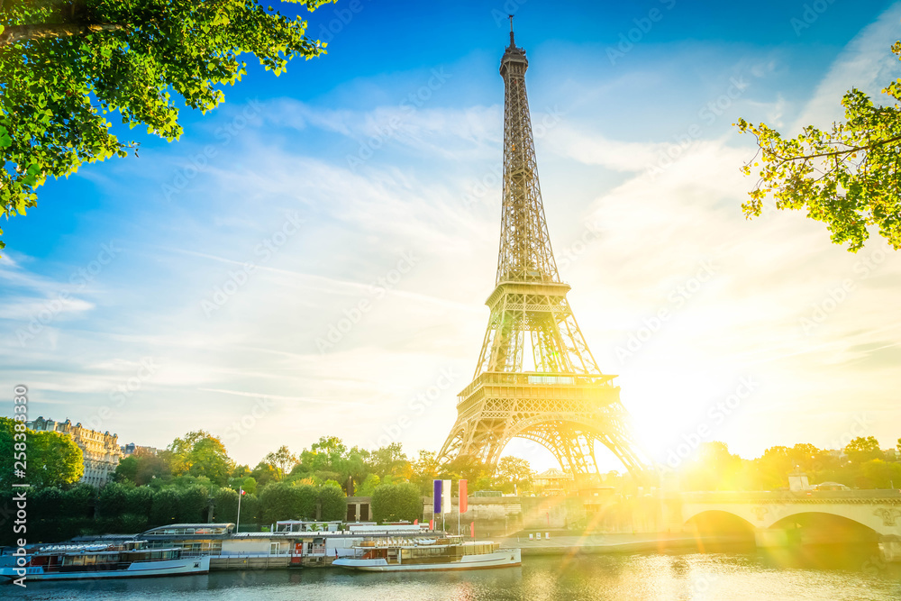 Fototapeta premium eiffel tour and from Trocadero, Paris