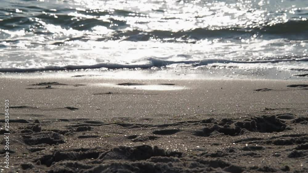 People running by the sea. Legs of people running along the seashore. People running by the sea. Legs of people running along the seashore.