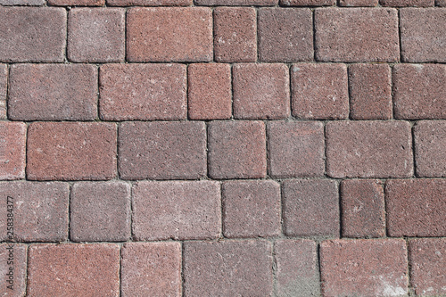 Brick floor  cement block. Background and texture.