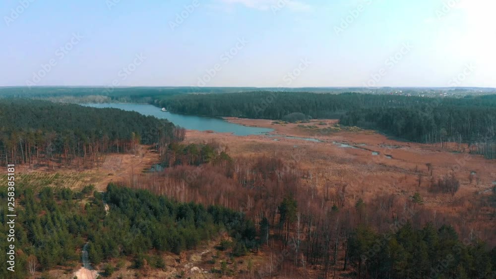 Aerial view of deforestated area along the river Aerial view of deforestated area along the river
