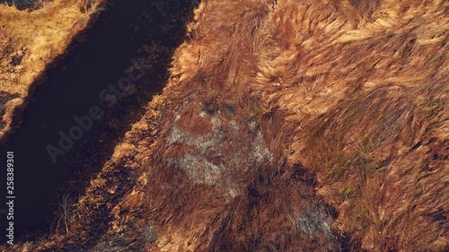 Top view of burnt wetland effected with fire