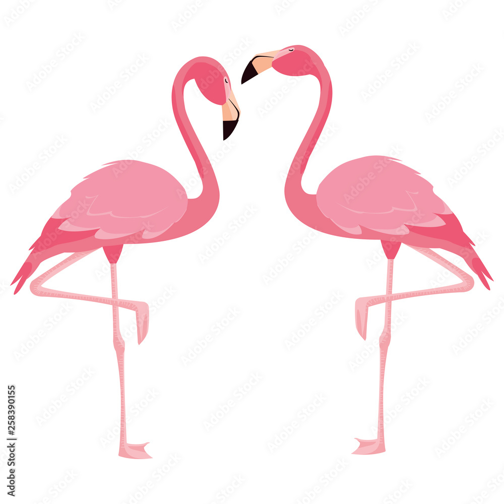 Obraz premium elegant flamingo birds couple
