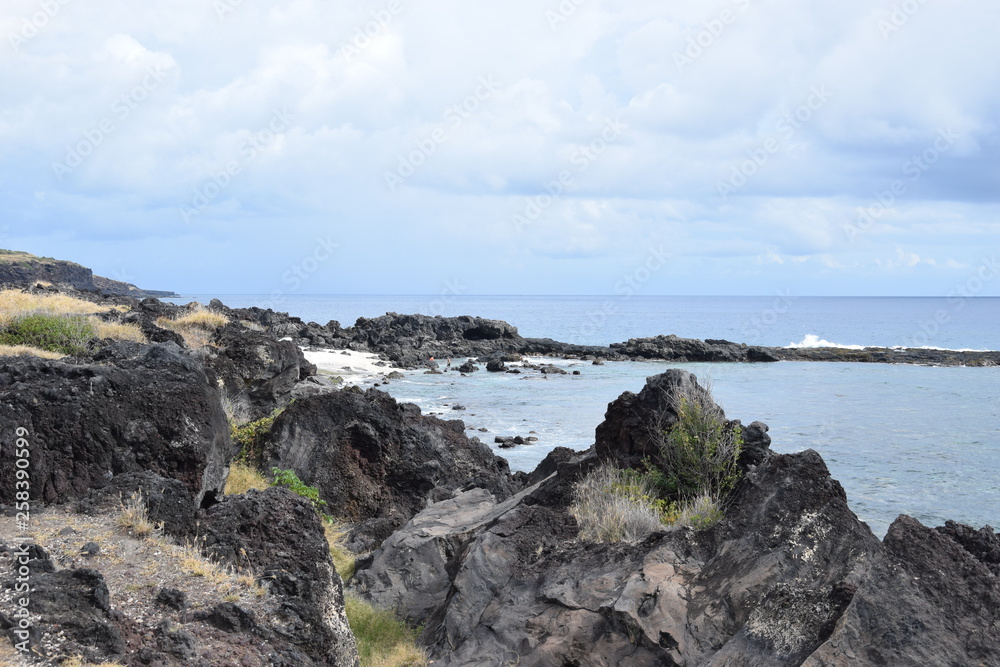 La Pointe au sel, La Réunion