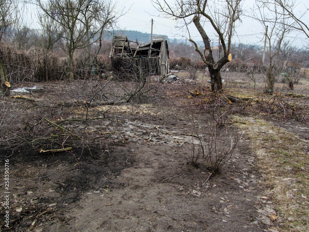Destroyed wooden hut in the depths of the spring and autumn garden with leafless trees. Landscape of a private plot of land with beds, cut trees and branches on black empty land