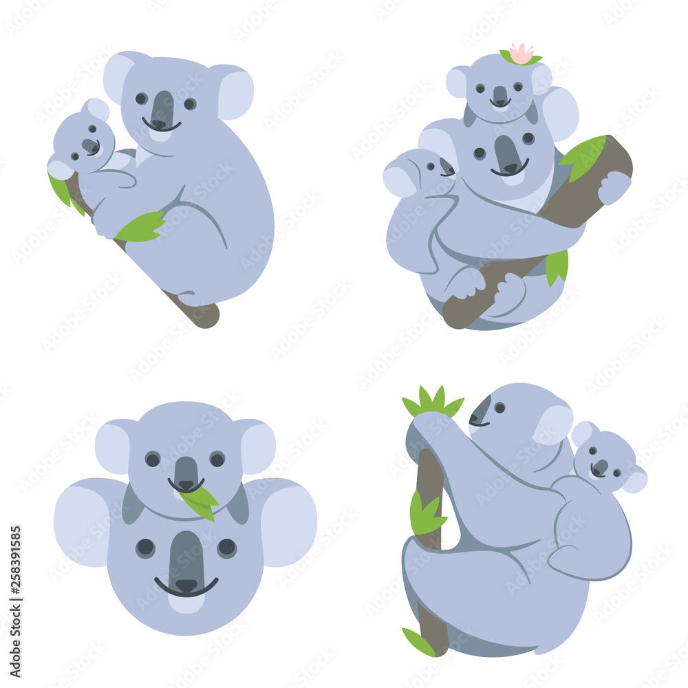Koala on the branch with young babies. Koalas family hangs on a tree ...