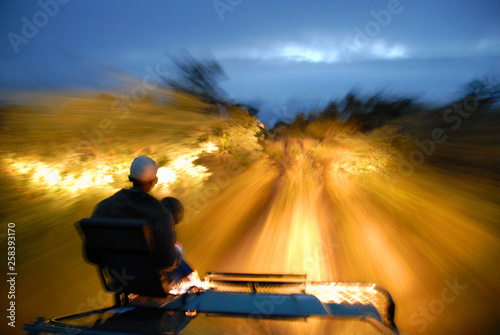 Night drive in the African savannah 