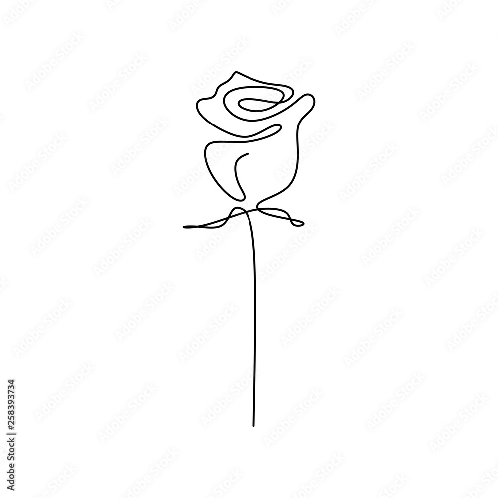 continuous line drawing of a rose Stock Vector Adobe Stock