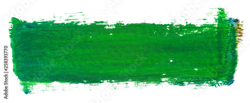 green watercolor blot with inked brush and paper texture hand-drawn.