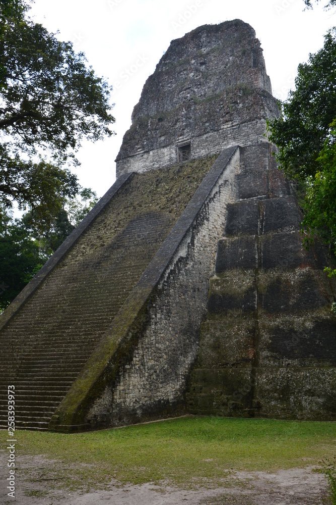 Site Archéologique de Tikal Peten Guatemala