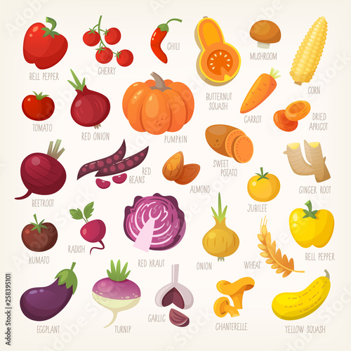 Variety of yellow  red and purple common farm and exotic fruit and vegetables. List of plants from grocery store with their market names. Isolated vector icons. 