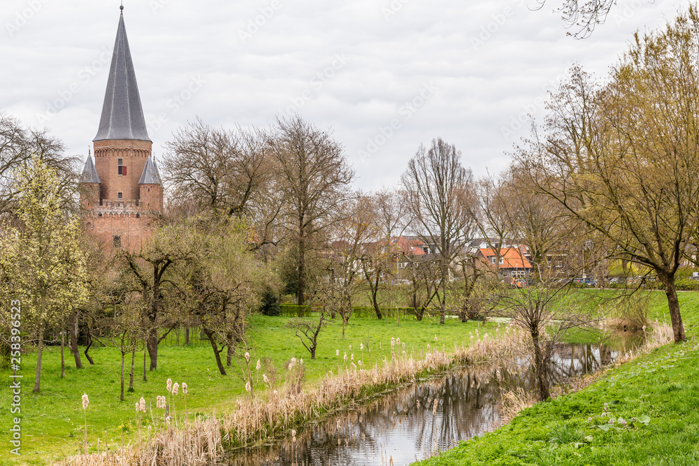 Cityscape of Zutphen with Drogenaps tower, a medieval city along the river IJssel in Gelderland in the Netherlands