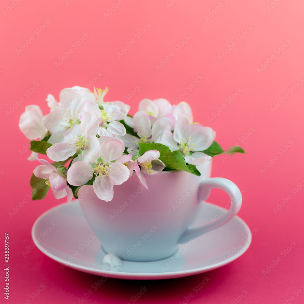 White spring apple tree blooming flowers in a cup White spring apple tree blooming flowers in a cup