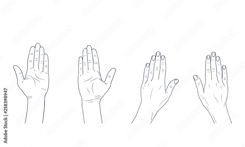 Vector sketch illustration - women's hands. Vector sketch illustration - women's hands.