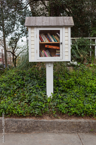The library shelf of the neighborhood