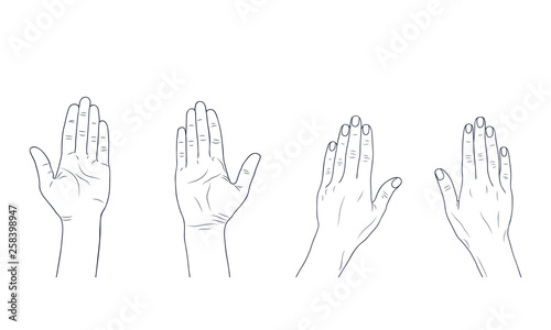 Vector sketch illustration - women's hands.