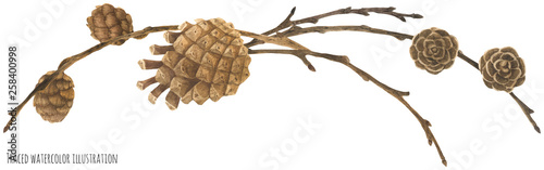 Dry Forest garland with cones and branches