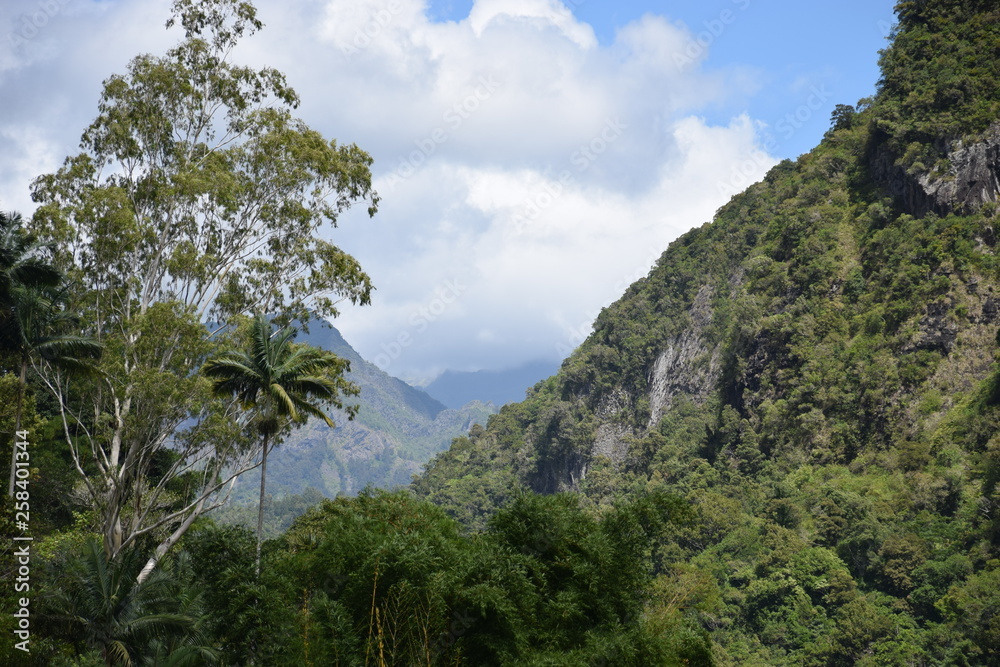 Voile de la mariée, la réunion