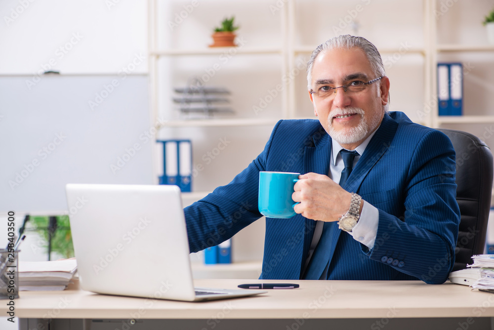 Aged male employee working in the office Aged male employee working in the office