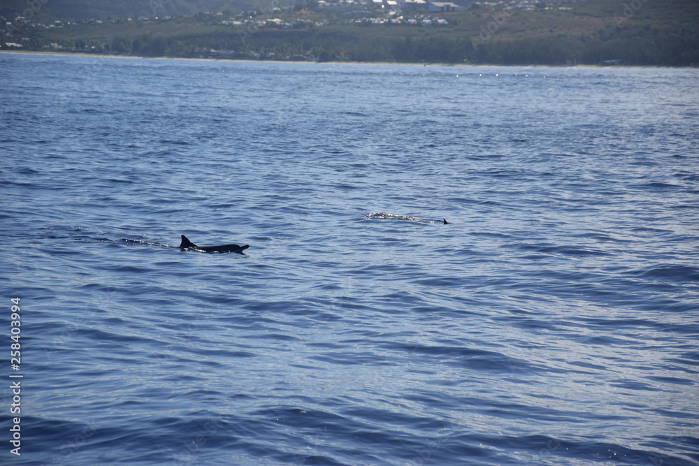 Fototapeta premium La Réunion