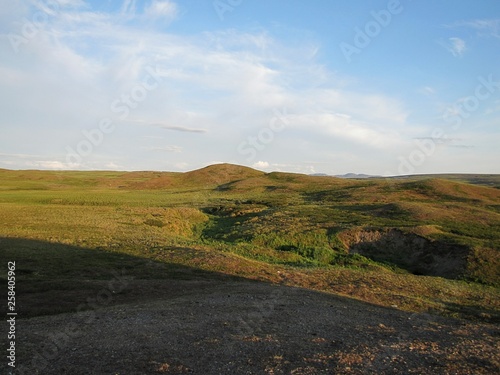 Tundra in the summer. Photo of a view of nature in the Ural tundra.