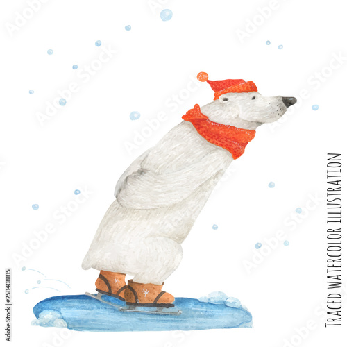 Polar Bear skate in the snow