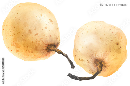Fresh chinese pears