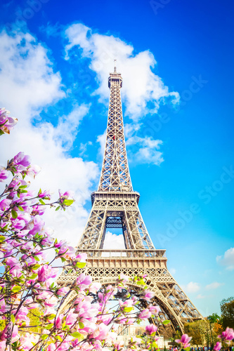 eiffel tower, France © neirfy