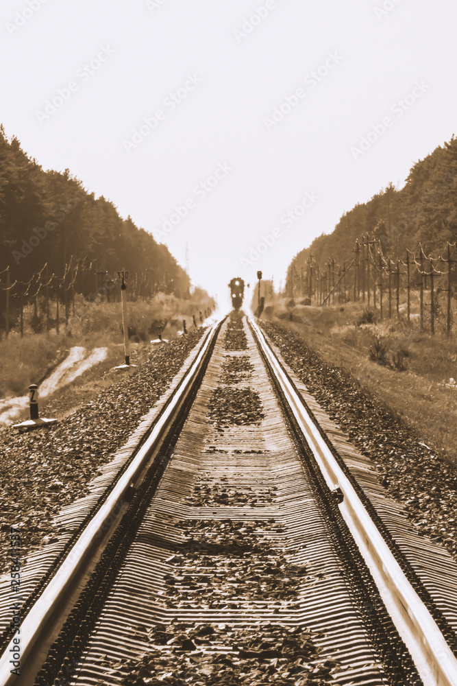 Fototapeta premium Mystic train travels by rail along forest in sepia tones. Railway traffic light and locomotive on railroad in distance. Mirage on railway track. Atmospheric landscape in monochrome.