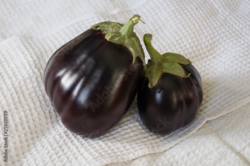 Two rape eggplants are laying on the white background. Autumn vegetables. Delicious and healthy food