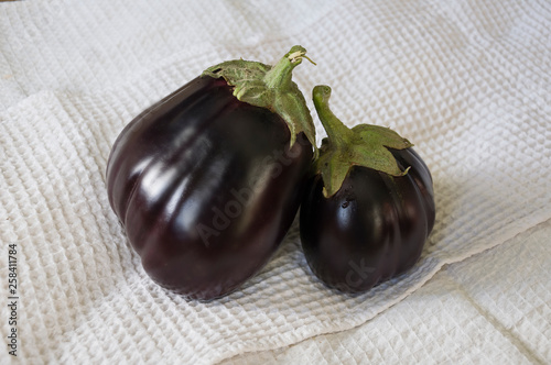 Two rape eggplants are laying on the white background. Autumn vegetables. Delicious and healthy food