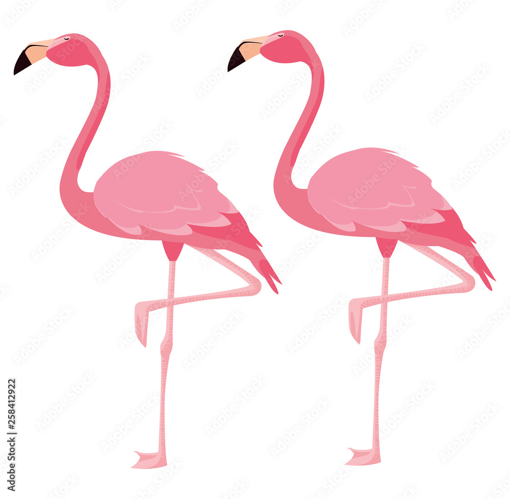 Obraz premium elegancka para ptaków flamingo