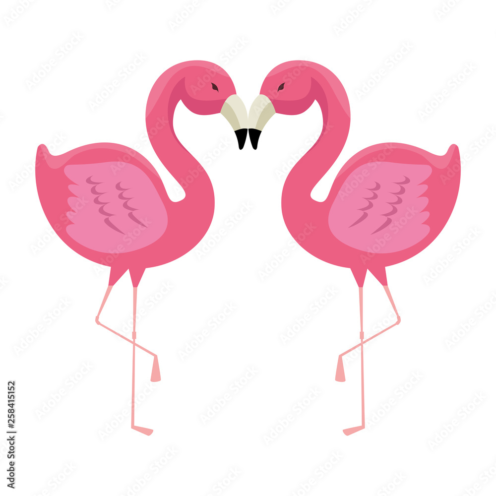 Fototapeta premium elegant flamingos birds couple