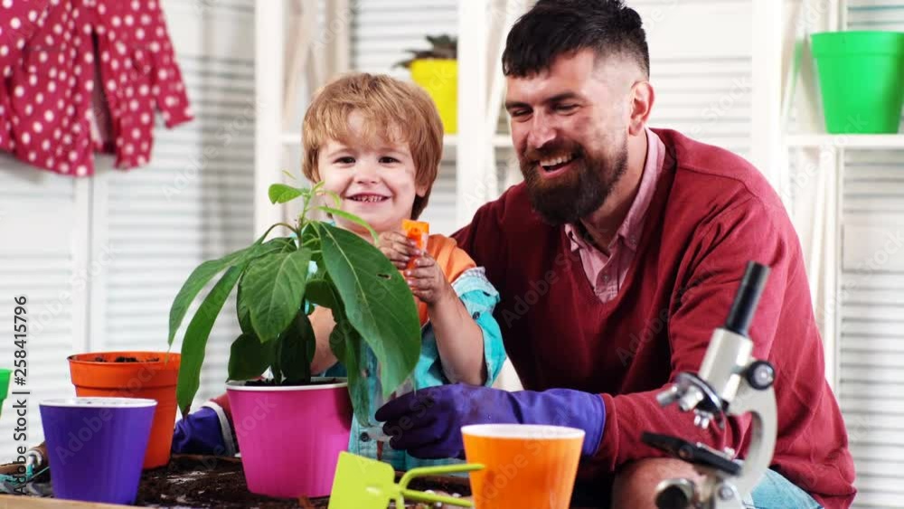 Spring concept, nature and care. Cute child boy helps his father to care for plants. Plant flowers. Man with a boy plant flowers. Family plant flowers. Growing plants and sprouts germination. Spring concept, nature and care. Cute child boy helps his father to care for plants. Plant flowers. Man with a boy plant flowers. Family plant flowers. Growing plants and sprouts germination.