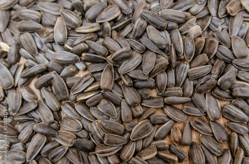 Black sunflower seeds. For texture or background Black sunflower seeds. For texture or background