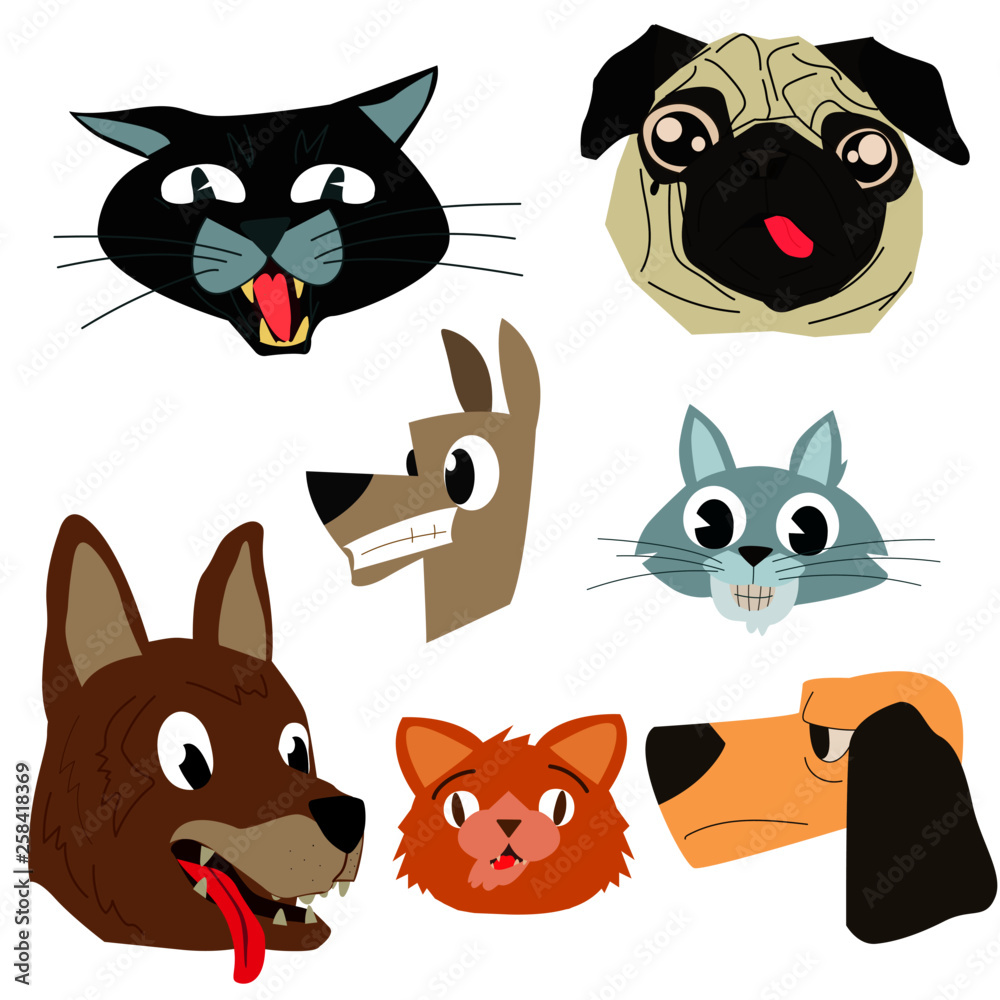 Perros y gatos Perros y gatos